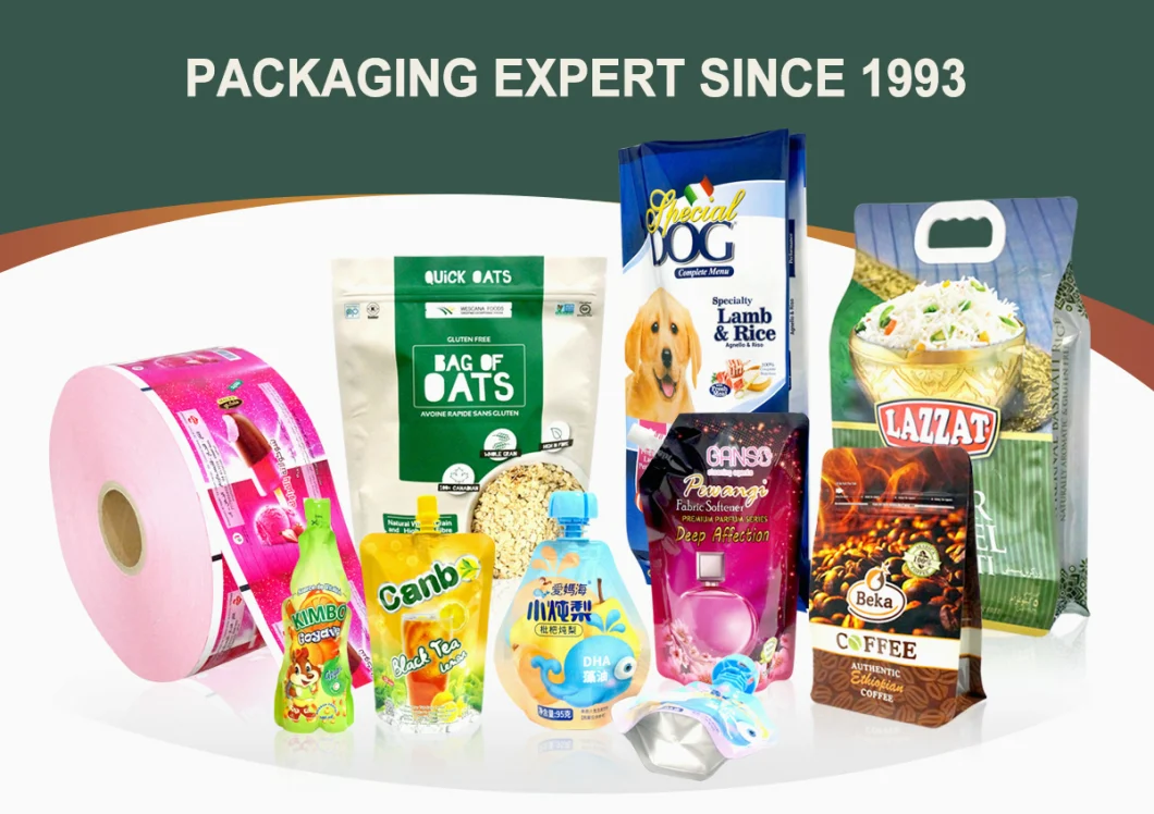 Dqpack Custom Matte Plastic Packaging Stand up Spout Bags Customized Stand up Pouch with Spout for Liquid Plastic Bag